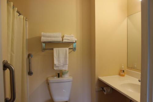 ein Badezimmer mit einem WC, einem Waschbecken und einem Spiegel in der Unterkunft Berkshire Travel Lodge in Canaan