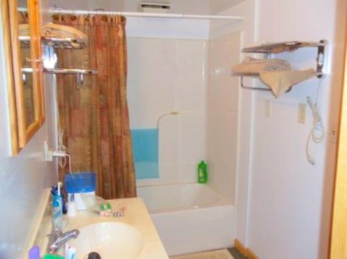 a bathroom with a sink and a shower and a tub at Peaceful Cabin Rental for Groups on a Farm near Susquehannock State Forest, Pennsylvania in Short Run