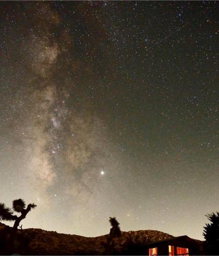 a starry night with the milky way and palm trees at Romantic Yucca Valley Cabin with Hot Tub in Yucca Valley