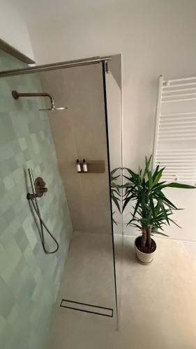 a shower stall with a potted plant in a bathroom at La Sorgiva in Assisi