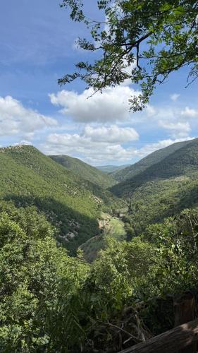 a view of a valley from a hill with trees at La Sorgiva in Assisi