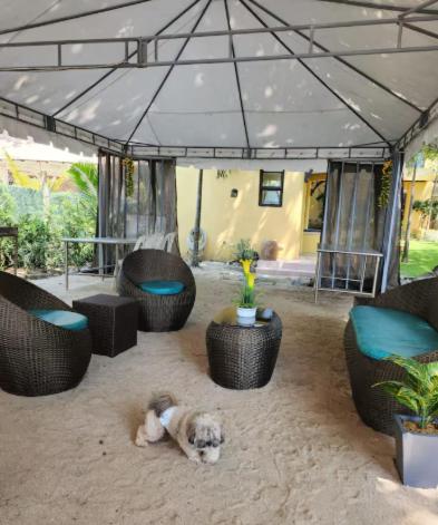 Αίθριο ή υπαίθριος χώρος στο Shachi Beach House