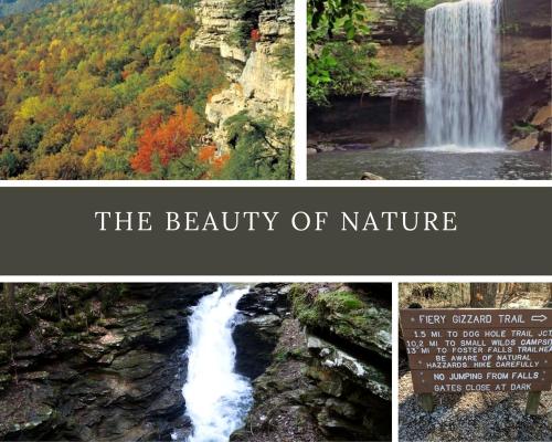 a collage of four pictures of a waterfall at Stunning and Fully-Equipped Tiny House with Breathtaking Views of South Cumberland State Park in Monteagle, TN in Monteagle