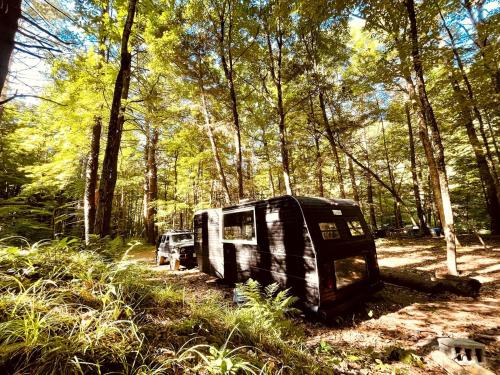 New ForgeにあるRomantic Glamping Getaway in a Pet Friendly Caravan, Ideal to Explore Hudson Valleyのトラックと一緒に森の中に駐車された古いRV