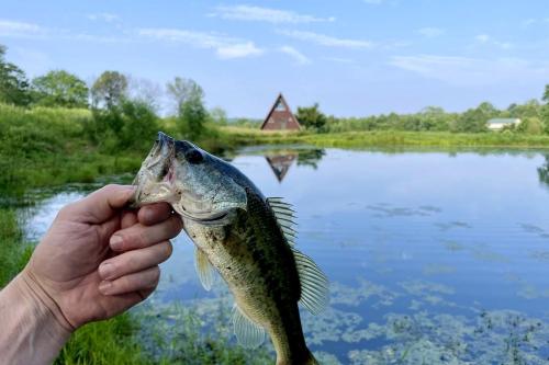 a person holding a fish in front of a lake at Beautiful A-frame with Hot-tub in Makanda, Illinois in Goreville