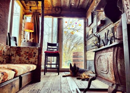 a dog laying on the floor in a room with a window at Rustic Container Accommodation for Glamping in Kentucky in Owenton