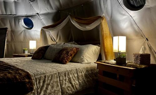 Gallery image of Stunning Secluded Dome with Gorgeous Forest Sights in Hermosa, South Dakota in Hermosa