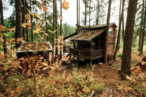 Zahrada ubytování Tree House Style Cabin Nestled at the Foot of Scenic Snow-Capped Mt. Adams, Washington