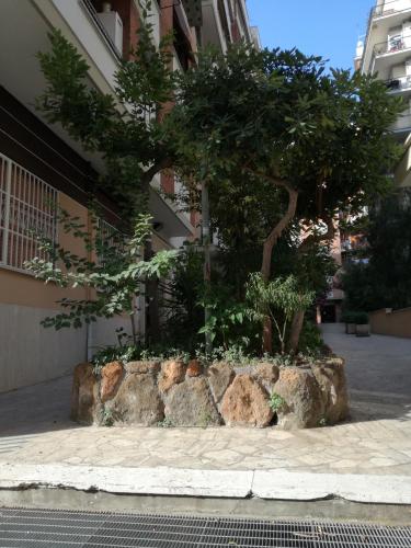 Testa Gioacchino B&B