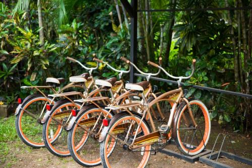 a row of bikes parked next to each other at Pumilio Mountain & Ocean Hotel in Jacó