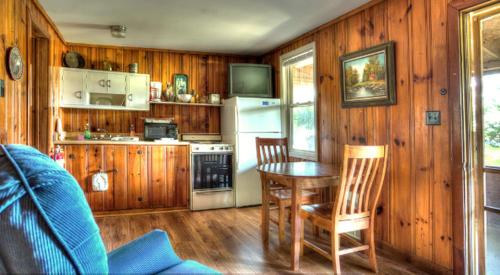 Kuchyň nebo kuchyňský kout v ubytování Luxurious and Modern One-Bedroom Cabin Rentals for Two in Somerset, Kentucky