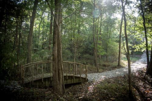 a wooden bridge in the middle of a forest at Outstanding Cabin with Hot-tub in Carbondale, Illinois in Etherton