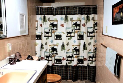 Fotografie z fotogalerie ubytování Lakefront Cottage Rental with Game Room near Ruth Lake, Minnesota v destinaci Emily