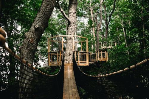 Φωτογραφία από το άλμπουμ του Glorious Tree House with Fire Pit and Hot-tub in Penn Yan, New York σε Dresden