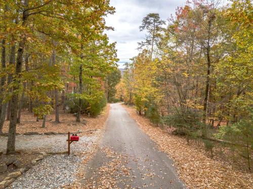 a dirt road in the middle of a forest at Relaxing Cabin with Screened Porch in Sautee Nacoochee, Georgia in Sautee Nacoochee