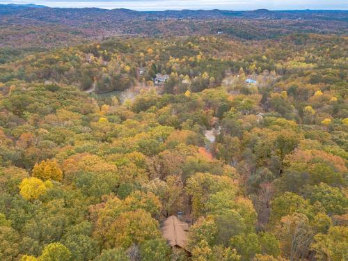 an aerial view of a forest of trees in the fall at Relaxing Cabin with Screened Porch in Sautee Nacoochee, Georgia in Sautee Nacoochee