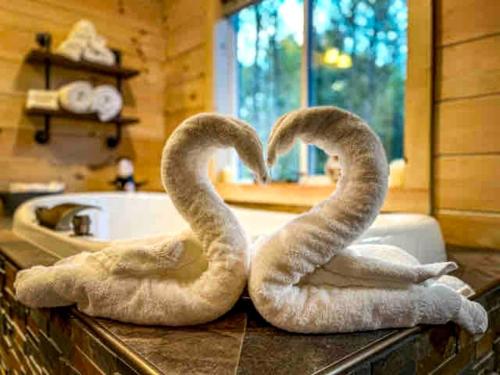 zwei Handtuchwärmer auf einer Theke im Bad in der Unterkunft Fantastic Secluded Cabin with Fire Pit and Hot-tub in Campbellsville, Kentucky in Campbellsville