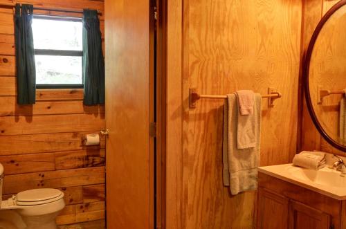 a bathroom with a toilet and a sink and a mirror at Lovely Rustic Cabin Secluded in the Woods near Maggie Valley, North Carolina in Cherokee