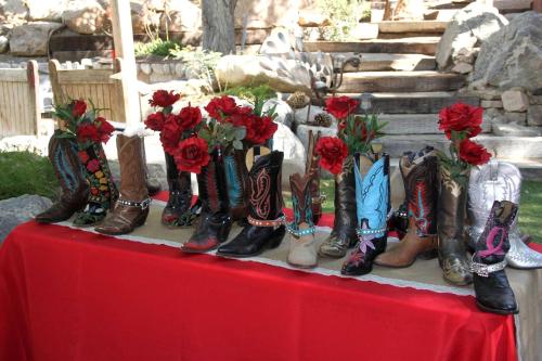 Φωτογραφία από το άλμπουμ του Unique Desert Experience for a Romantic Getaway Ideal for Exotic Animal Lovers in Morongo Valley, California. σε Palm Wells