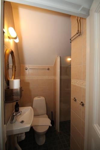 a bathroom with a toilet and a sink and a shower at Riddersviks Herrgård in Stockholm