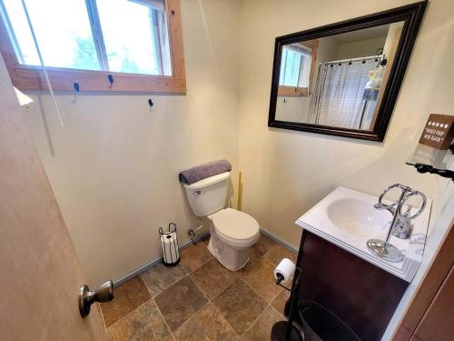 a bathroom with a toilet and a sink at Cozy Lakeside Log Cabin with Kayaks & Arcade Access near Trails in Bitely, Michigan in Bitely