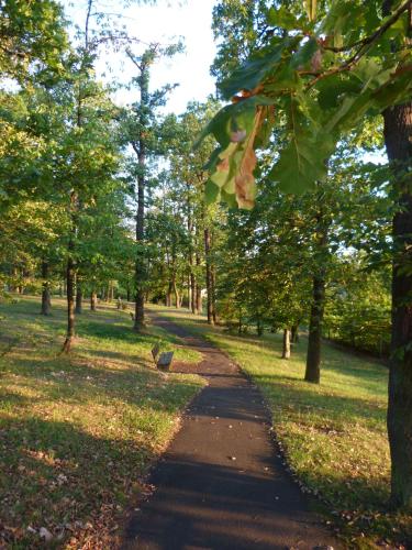 a bird walking down a path in a park at Spilburg Apartments in Wetzlar