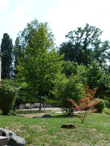 a park with trees and grass and a building at Spilburg Apartments in Wetzlar