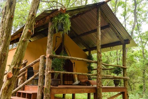 a tree house in the woods at Luxury Safari Style Tents for Getaways in Pennsylvania in East Berlin