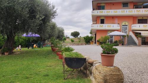 a building with a bunch of potted plants in front of it at B&B I Tre Ulivi in Morro dʼOro