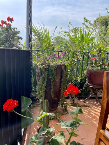 a garden with plants and flowers on a fence at Eagle View Lodge - Kigali in Kigali