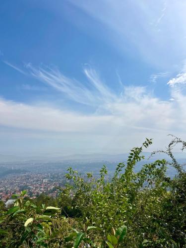 a view of a city from the top of a tree at Eagle View Lodge - Kigali in Kigali