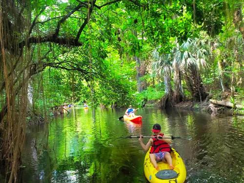 a man riding a kayak on a river in a forest at Upcycled Shipping Containers Transformed into a Glamping Home for a Unique Florida Vacation in Tequesta