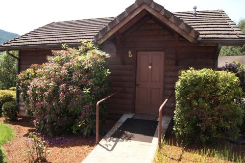 a wooden shed with a door and two bushes at Idyllic Camping Cabin on 2500-Acre Ranch in the Umpqua River Valley, Oregon in Elkton