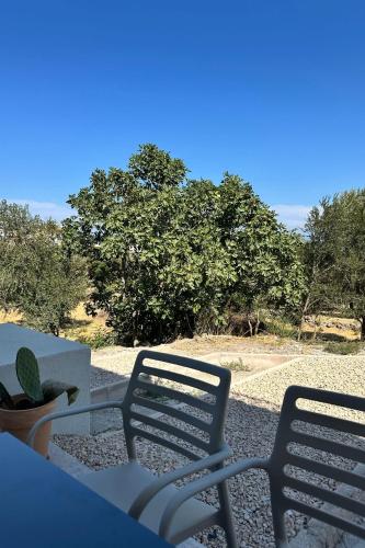 Φυσικό τοπίο κοντά σε αυτό το ξενοδοχείο διαμερισμάτων