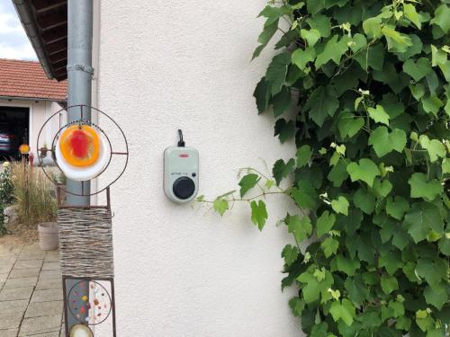 a pot of soup on the side of a wall at Ferienhaus Zillendorf in Zillendorf