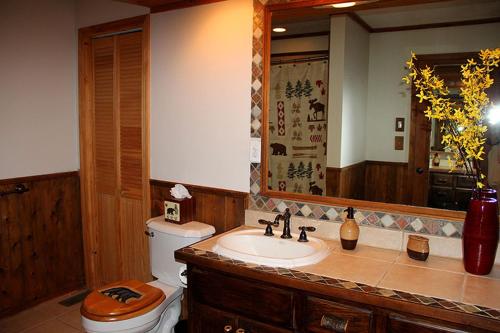 Phòng tắm tại Rustic Log Cabin Rental with a Hot Tub near Asheville, North Carolina