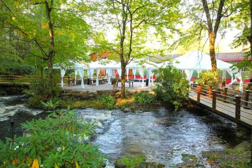 a river with a bridge and a bridge at Cozy and Secluded Cabin with a Fireplace in the Poconos Mountains of Pennsylvania in Canadensis