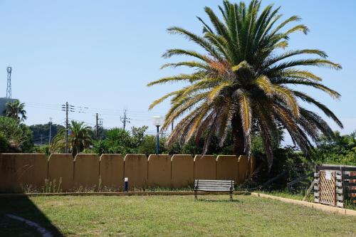 a bench in front of a palm tree next to a fence at DokiDoggie館山DIANA in Tateyama
