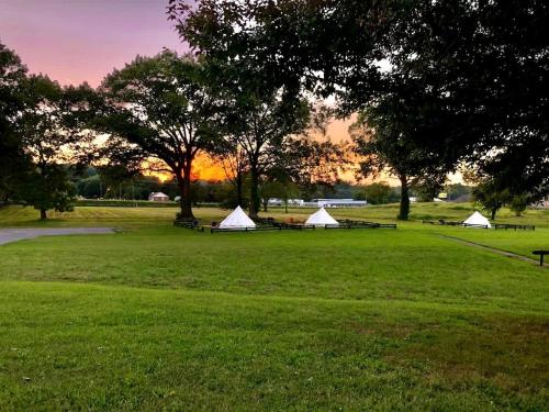 a group of tents in a field with trees at Rustic Horse Stall Suite B&B Near Nashville and has Private Bath, Loft Beds & Country Breakfast in Cedar Grove