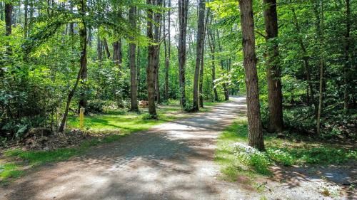 a dirt road in the middle of a forest at Luxury Group Safari Tent Complete with Firepit and Patio, Perfect for a Weekend Escape to the Adirondacks in Corinth