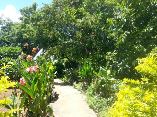 a path through a garden with flowers and trees at Kim's Garden in Anda