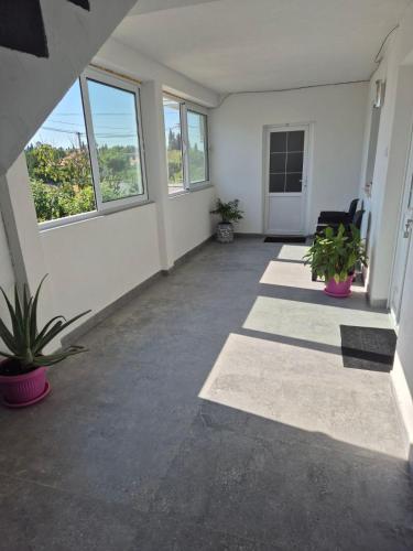 an empty room with potted plants and windows at Airport Apartmani Nevena in Mitrovići