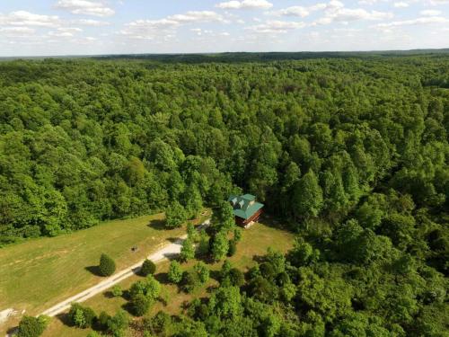 an aerial view of a house in the middle of a forest at Mammoth Cave Cabin for the Best Holiday in Kentucky in Mammoth Cave