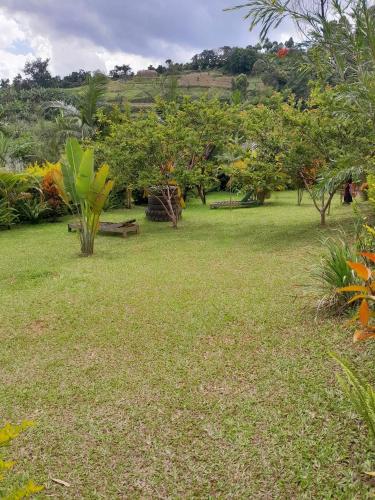 a field of grass with trees and bushes at One love archive in Chabahinga