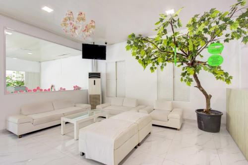 a living room with white furniture and a potted tree at Capital O 94792 Aleander Hotel in Jakarta