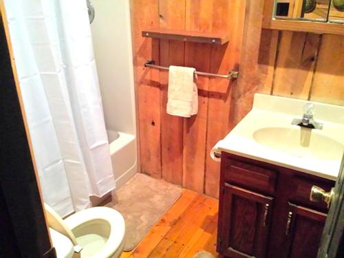 a bathroom with a toilet and a sink at Charmingly Rustic Weekend Getaway in the Mountains near Pittsburgh, Pennsylvania in Champion