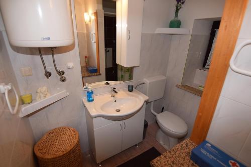 a small bathroom with a sink and a toilet at Apartment Nika in Šegotići