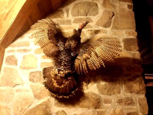 a statue of a turkey on a stone wall at Cozy Vacation Rental with High-Speed Wi-Fi near Seven Springs, Pennsylvania in Champion