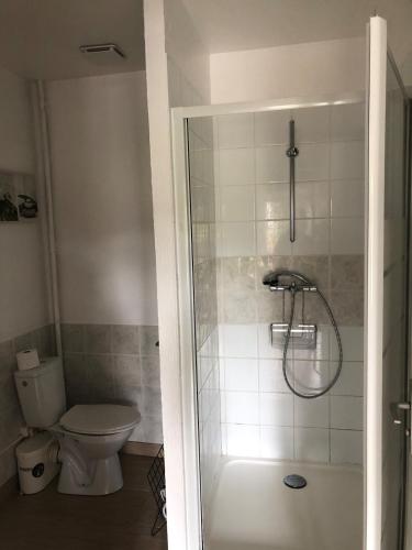 un baño con ducha y WC en Small country house, 