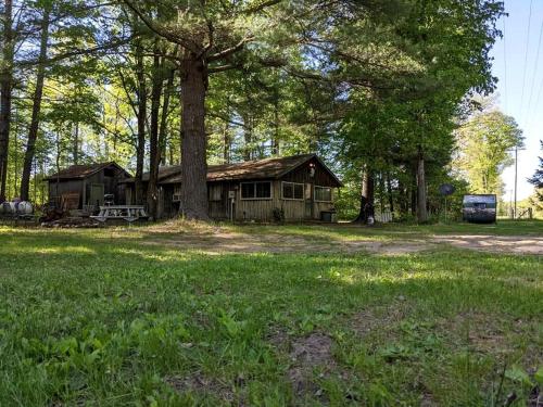 Vườn quanh Secluded Rustic Cabin Rental Inside Manistee National Forest in Brethren, Michigan